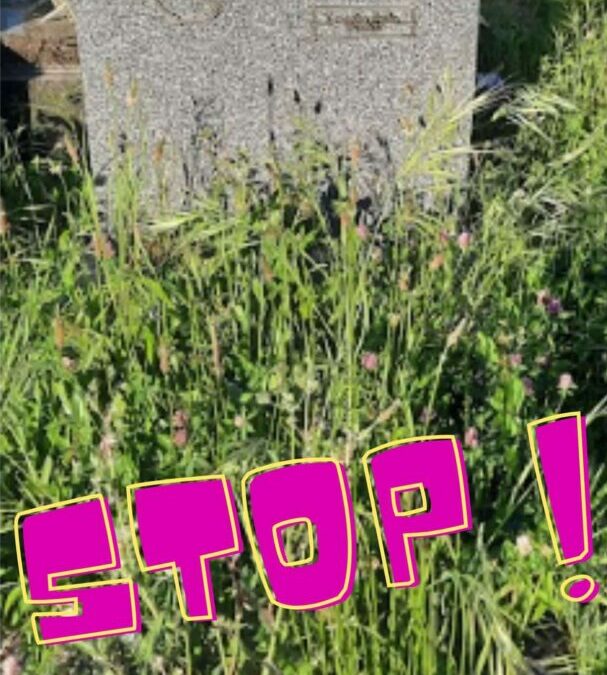 A Nantes, nos défunts méritent le respect